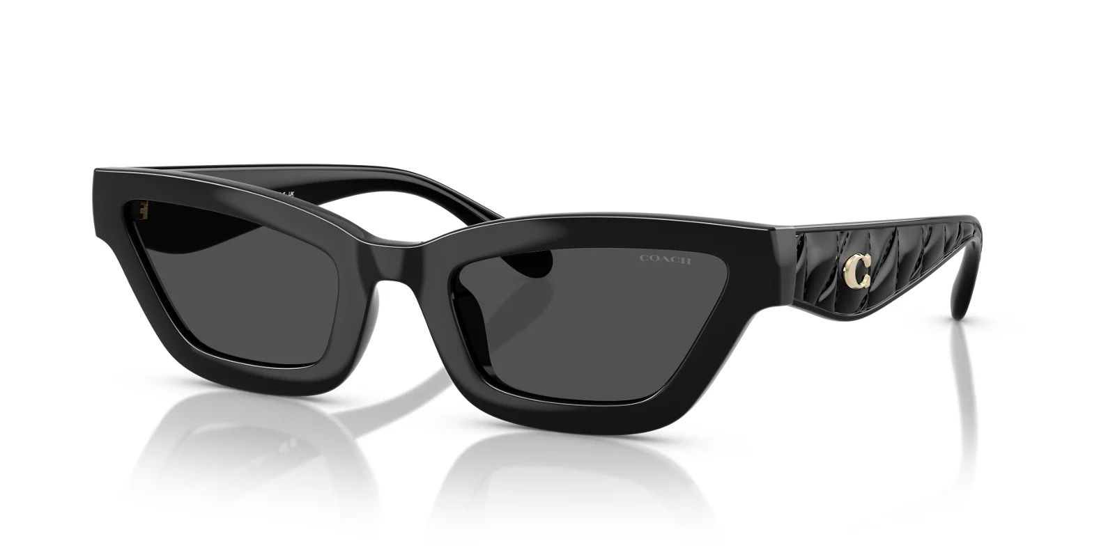 Coach Sunglasses HC8420U