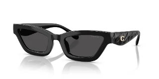 Coach Sunglasses HC8420U