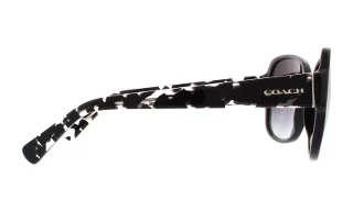 Coach Sunglasses HC8166 L154