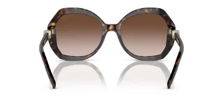 Giorgio Armani Sunglasses AR8180