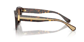 Dolce & Gabbana Sunglasses DG4558