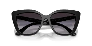 Emporio Armani Sunglasses EA4254U