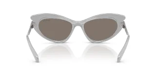 Swarovski Sunglasses SK6038