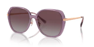582562 Transparent Purple