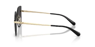 Coach Sunglasses HC7193D