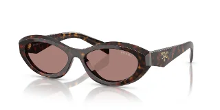 17N60B Root Tortoise