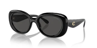 Coach Sunglasses HC8391U