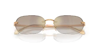 Ralph Lauren Sunglasses RL7089