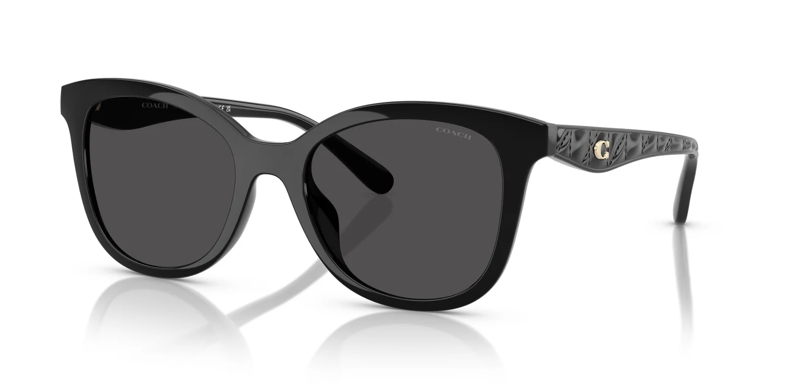 Coach Sunglasses HC8419U