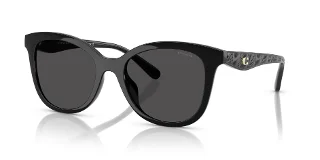 500287 Black