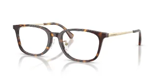 5026 Shiny Havana