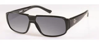 Harley Davidson Sunglasses HDX 859