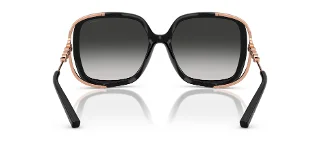 Coach Sunglasses HC8423U