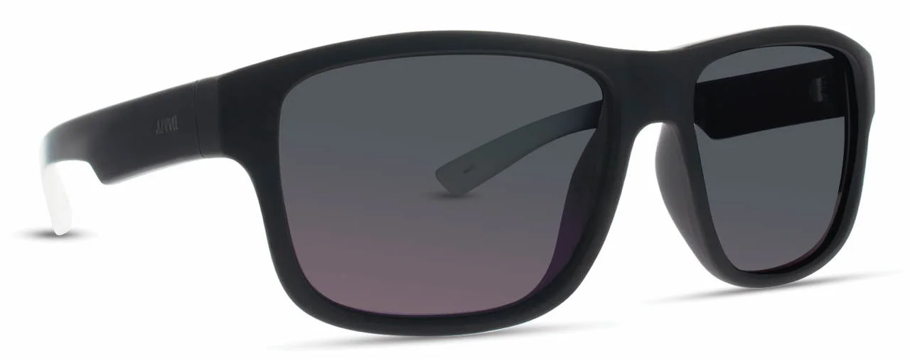 INVU Sunglasses INVU-125