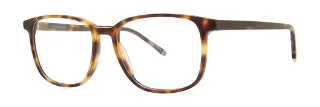 Paradigm Eyeglasses 20-10