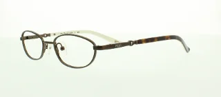 134 Brown Tortoise