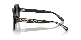 Coach Sunglasses HC8395F