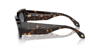 Giorgio Armani Sunglasses AR8182