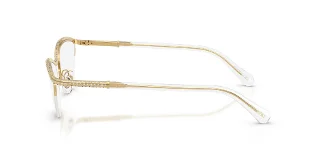 Swarovski Eyeglasses SK1026
