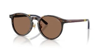 500373 Shiny Dark Havana