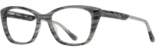 C02 Charcoal