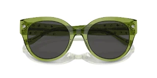 Coach Sunglasses HC8393U