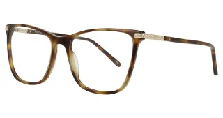 Tort/Gold