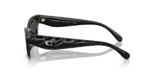 Coach Sunglasses HC8420U