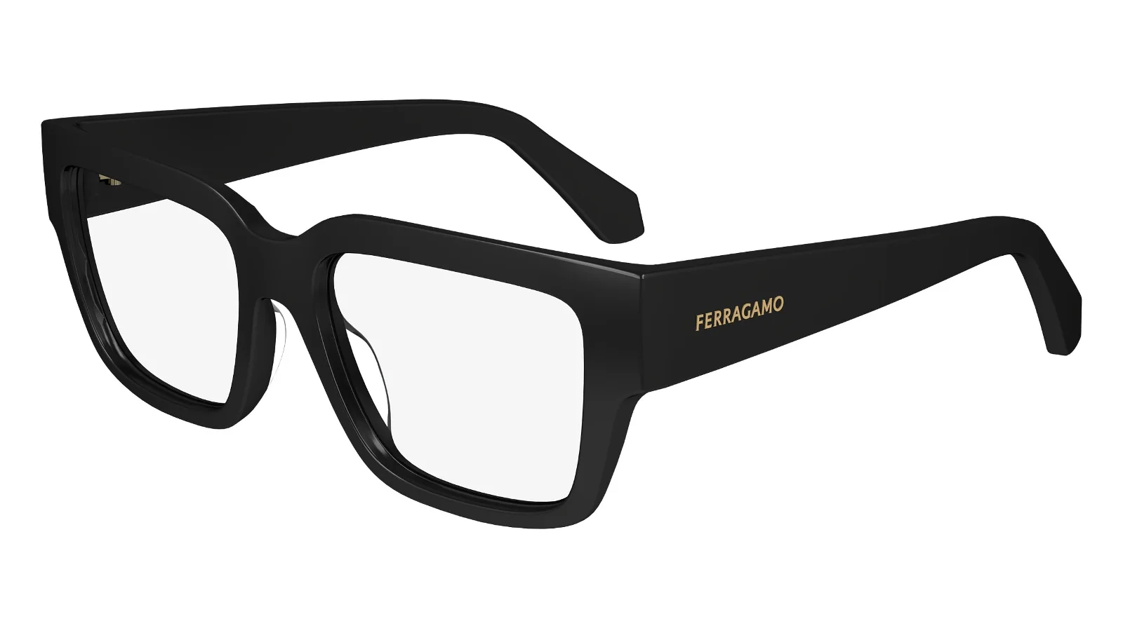 Salvatore Ferragamo Eyeglasses SF2975