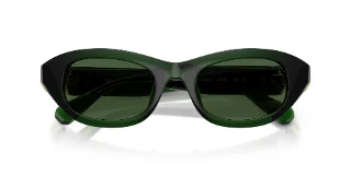 Swarovski Sunglasses SK6036U