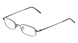 Flexon Eyeglasses 603