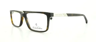6001 Tortoise