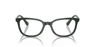 Swarovski Eyeglasses SK2003F