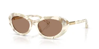 Dolce & Gabbana Sunglasses DG4519