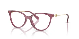 3179 Berry Transparent