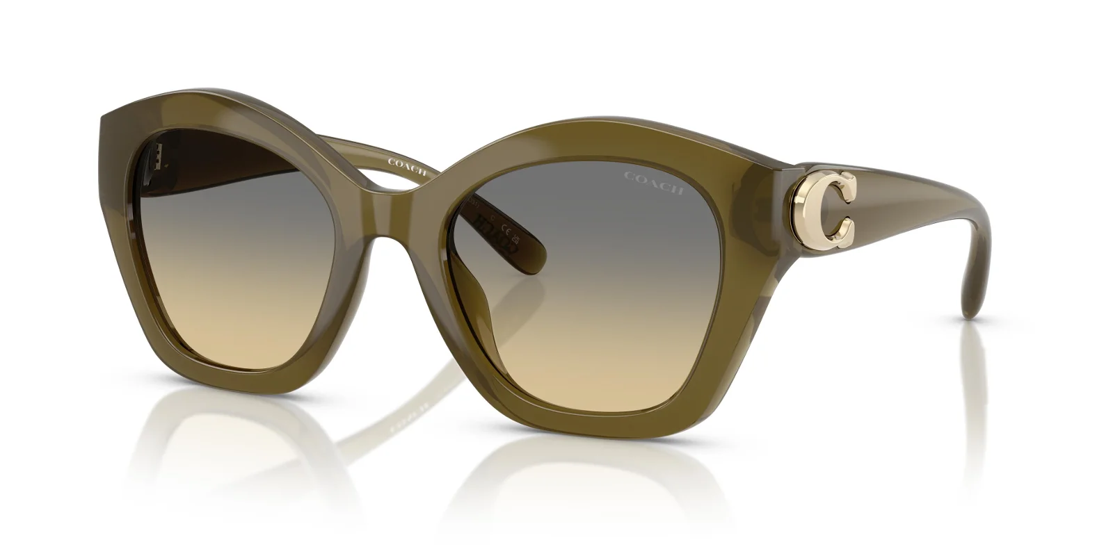 Coach Sunglasses HC8421U