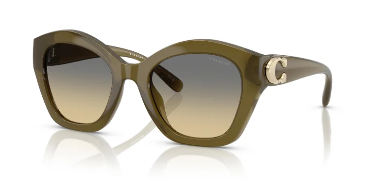 Coach Sunglasses HC8421U