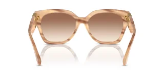 Ralph Lauren Sunglasses RL8221