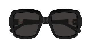 Chloe Sunglasses CH0301S