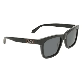 Salvatore Ferragamo Sunglasses SF2113S