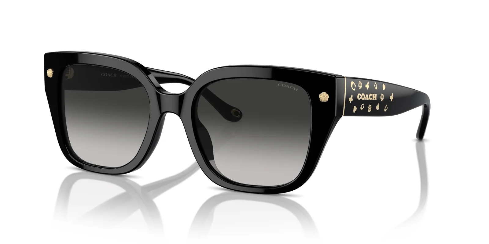 Coach Sunglasses HC8392U