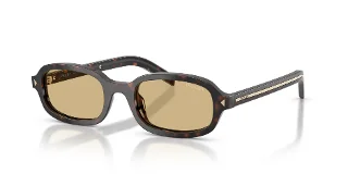 17N70R Root Tortoise