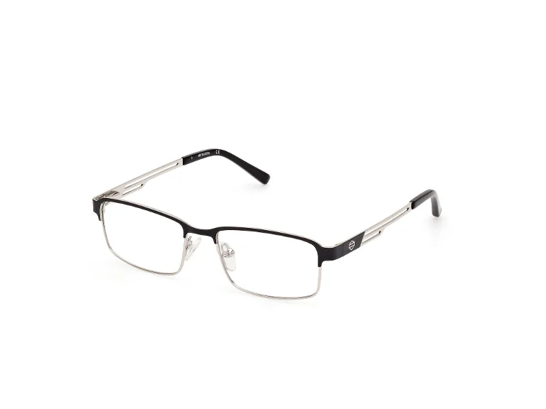 Harley Davidson Eyeglasses HD0138T