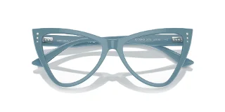 Jimmy Choo Eyeglasses JC3004B
