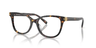 2016 Brown Tortoise