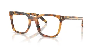 29C1O1 Cinnamon Tortoise