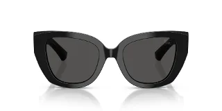 Burberry Sunglasses BE4503F