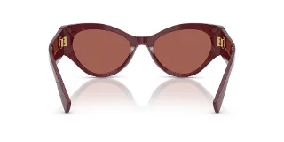 Dolce & Gabbana Sunglasses DG4480
