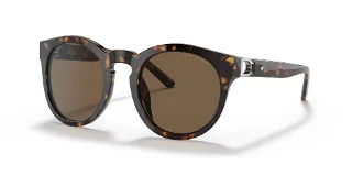 500373 Shiny Dark Havana