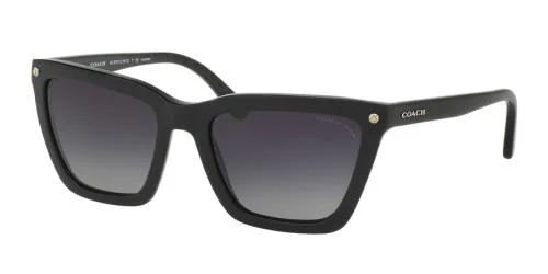 Coach Sunglasses HC8191 L1612